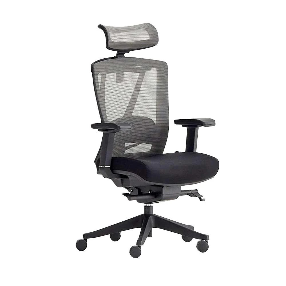 aroraimports-ergonoma-pro